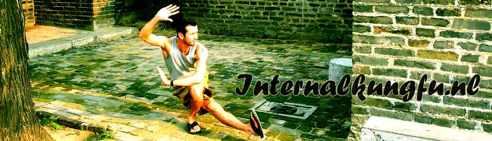 internalkungfupose+naam-.jpg