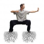 Wortelen is essentieel voor een goede kungfu en balans in je lichaam.