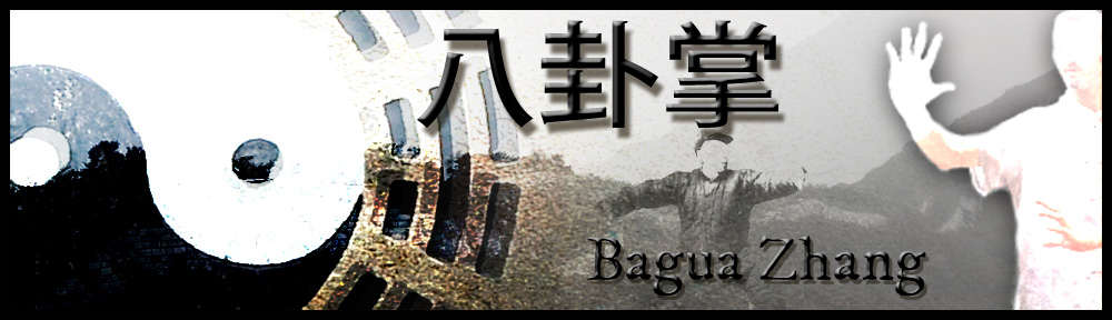 baguaZhang